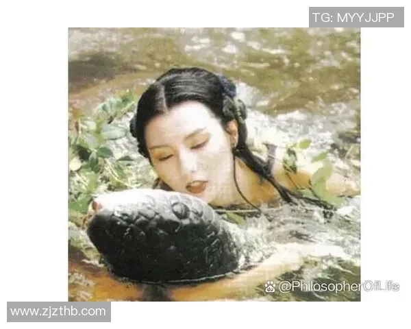 赵娜专访:从青涩小将到网球明星的成长之路与心路历程回顾 赵娜专访:从青涩小将到网球明星的成长之路与心路历程回顾