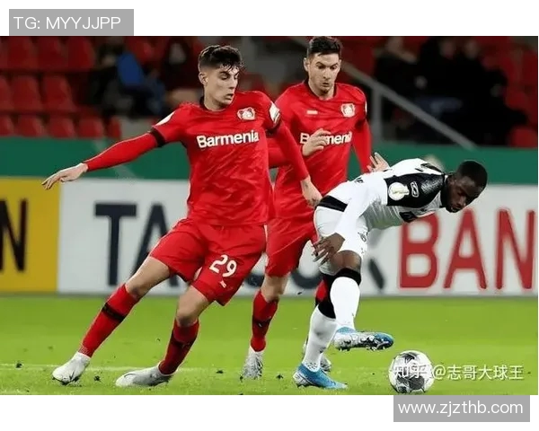 桑纳菲与维京的精彩对决分析与赛季前景展望 桑纳菲与维京的精彩对决分析与赛季前景展望