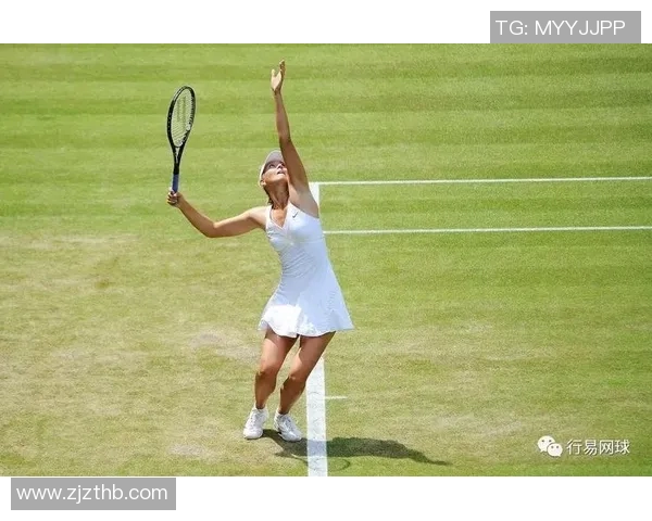 深圳网球队防反战术革新探索与实践全景解析 深圳网球队防反战术革新探索与实践全景解析