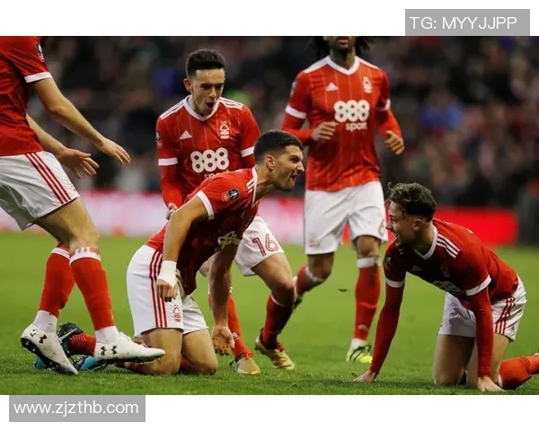 阿森纳与埃弗顿精彩对决全场录像回放分析与精彩瞬间分享